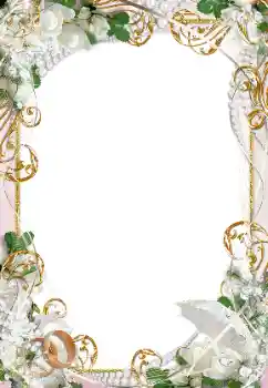 Photo effect from category Wedding frames № 8719