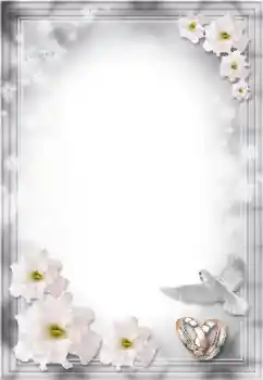 Photo effect from category Wedding frames № 8724