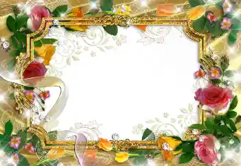 Photo effect from category Wedding frames № 89223