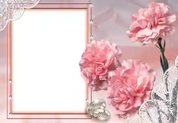 Photo effect from category Wedding frames № 89330