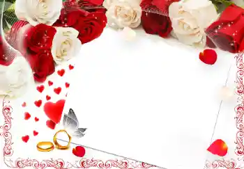 Photo effect from category Wedding frames № 89373