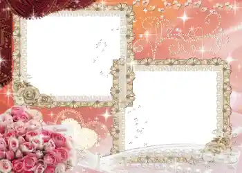 Photo effect from category Wedding frames № 89
