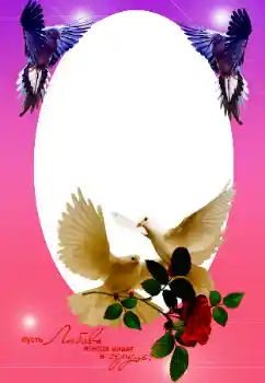 An inscription on the frame: Our wedding