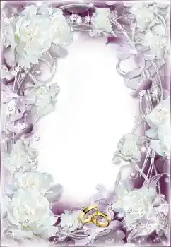 Photo effect from category Wedding frames № 91901