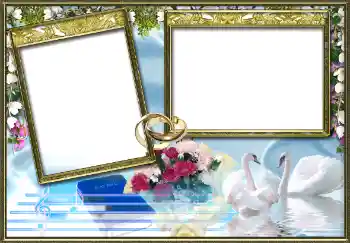Photo effect from category Wedding frames № 9724