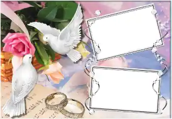 Photo effect from category Wedding frames № 9725