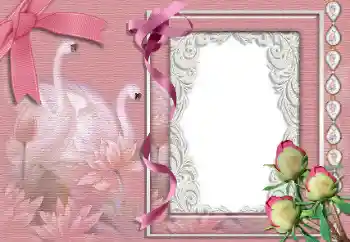 Photo effect from category Wedding frames № 99842