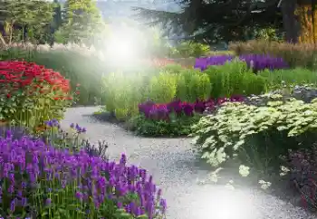 Photo effect from category Women's photo frames № 101176 Photo effect from category Women's photo frames № 101176