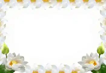 Photo effect from category Women's photo frames № 102569