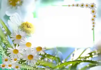 Photo effect from category Women's photo frames № 102749