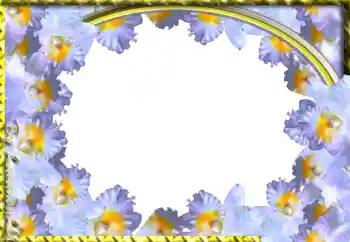 Photo effect from category Women's photo frames № 103943 Photo effect from category Women's photo frames № 103943