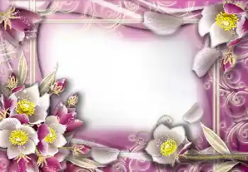 Photo effect from category Women's photo frames № 103964 Photo effect from category Women's photo frames № 103964