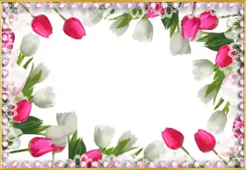 Photo effect from category Women's photo frames № 103965 Photo effect from category Women's photo frames № 103965