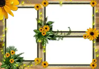 Photo effect from category Women's photo frames № 104030 Photo effect from category Women's photo frames № 104030