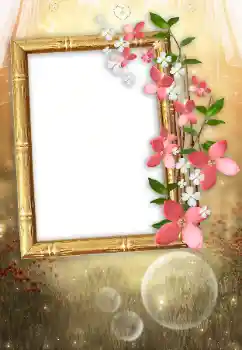 Photo effect from category Women's photo frames № 104034 Photo effect from category Women's photo frames № 104034