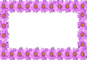 Photo effect from category Women's photo frames № 105414 Photo effect from category Women's photo frames № 105414