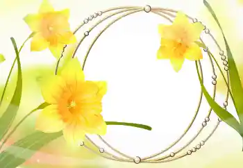 Photo effect from category Women's photo frames № 105478 Photo effect from category Women's photo frames № 105478