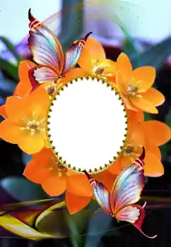 Photo effect from category Women's photo frames № 105575 Photo effect from category Women's photo frames № 105575