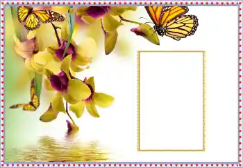 Photo effect from category Women's photo frames № 108699 Photo effect from category Women's photo frames № 108699