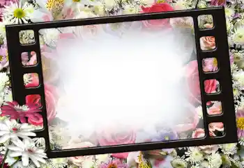 Photo effect from category Women's photo frames № 111956