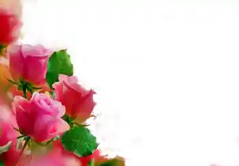 Photo effect from category Women's photo frames № 112139