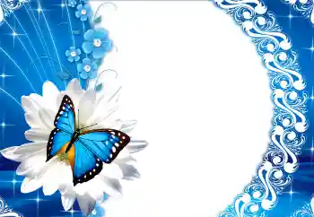 Photo effect from category Women's photo frames № 112249