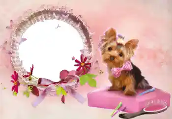 Photo effect from category Women's photo frames № 112337 Photo effect from category Women's photo frames № 112337