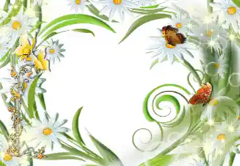 Photo effect from category Women's photo frames № 112507