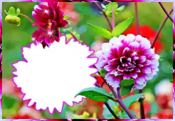 Photo effect from category Women's photo frames № 112519