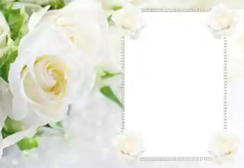 Photo effect from category Women's photo frames № 112529