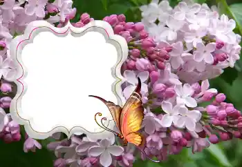 Photo effect from category Women's photo frames № 114264 Photo effect from category Women's photo frames № 114264