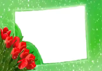 Photo effect from category Women's photo frames № 114275 Photo effect from category Women's photo frames № 114275