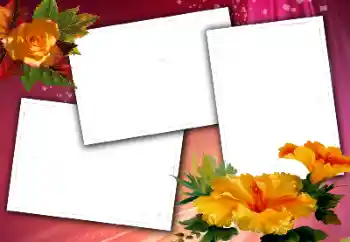 Photo effect from category Women's photo frames № 114406