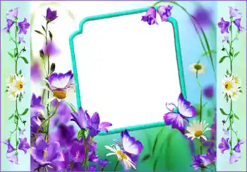 Photo effect from category Women's photo frames № 116096