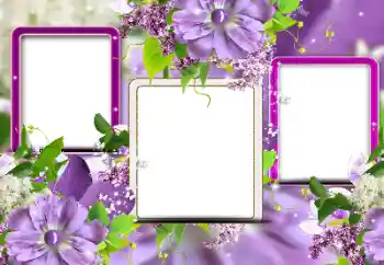 Photo effect from category Women's photo frames № 116124