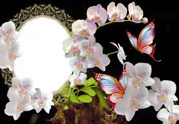 Photo effect from category Women's photo frames № 117349