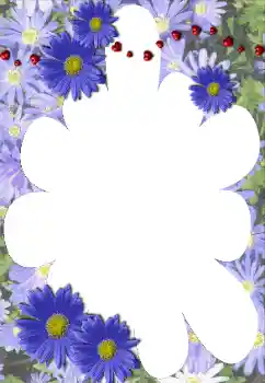 Photo effect from category Women's photo frames № 117528