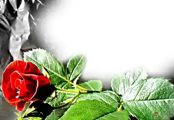 Photo effect from category Women's photo frames № 11831