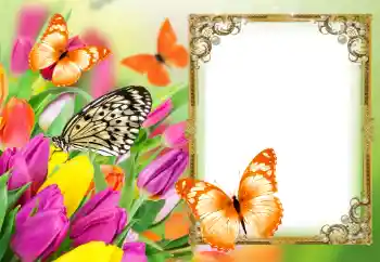 Photo effect from category Women's photo frames № 121073