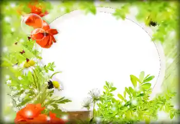 Photo effect from category Women's photo frames № 121087