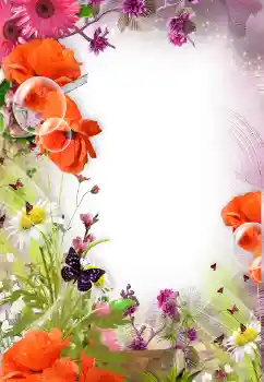 Photo effect from category Women's photo frames № 121098