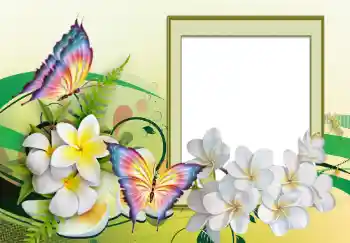 Photo effect from category Women's photo frames № 123226