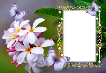 Photo effect from category Women's photo frames № 123254 Photo effect from category Women's photo frames № 123254