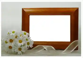 Photo effect from category Women's photo frames № 124334
