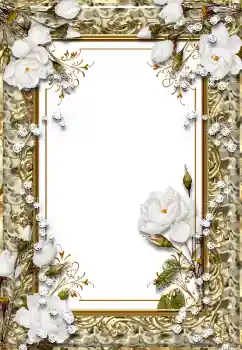 Photo effect from category Women's photo frames № 124339