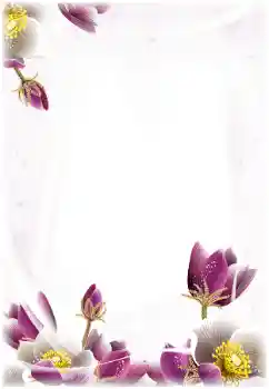 Photo effect from category Women's photo frames № 124368