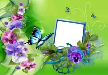 Photo effect from category Women's photo frames № 124394