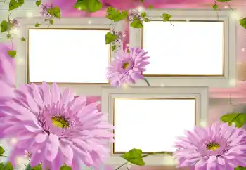 Photo effect from category Women's photo frames № 124509 Photo effect from category Women's photo frames № 124509