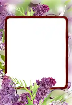 Photo effect from category Women's photo frames № 124572