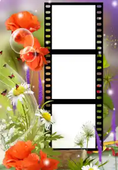 Photo effect from category Women's photo frames № 125912